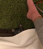 Filename=01235.jpg
Filesize=108KiB
Dimensions=1080x1080
Date added=Mar 02, 2023 01235.jpg