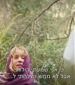 253.jpg