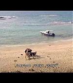060.jpg